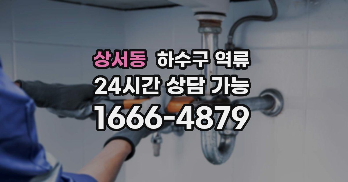 상서동 하수구 역류