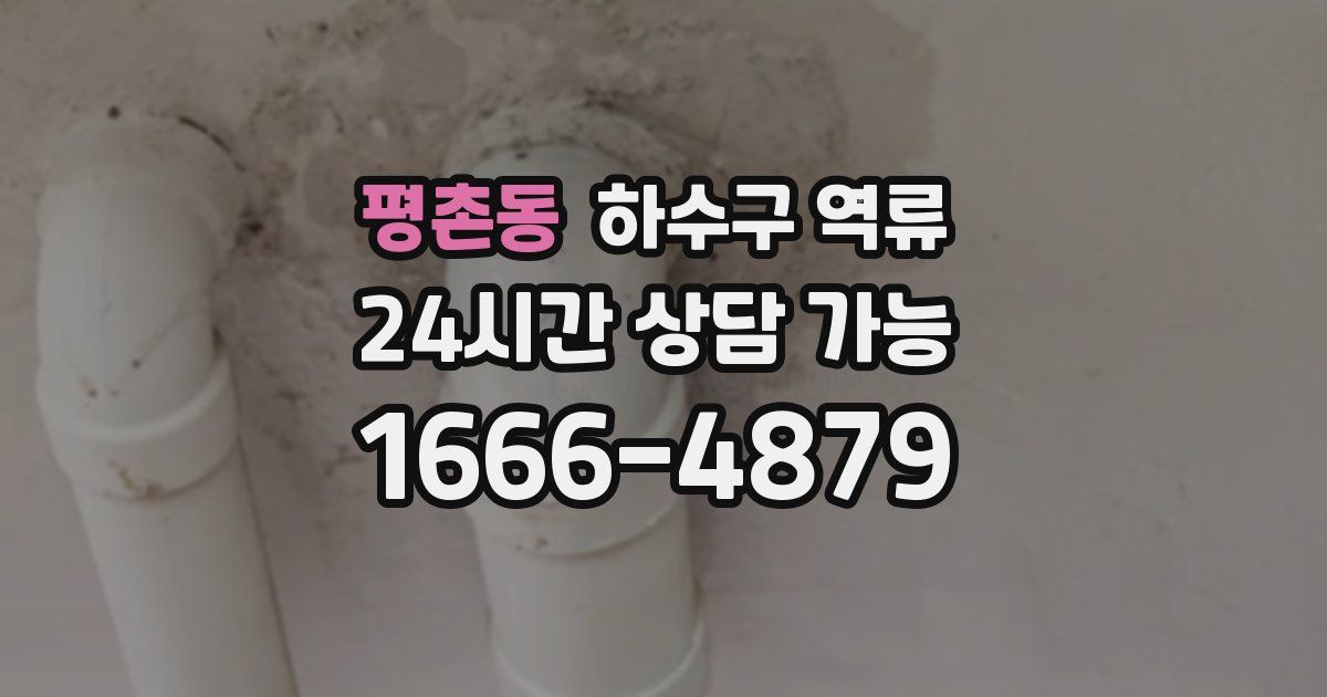 평촌동 하수구 역류