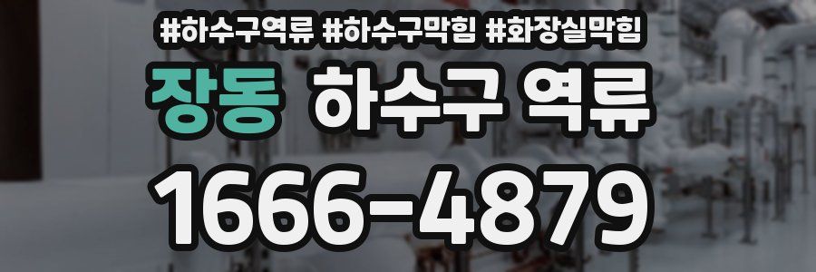 장동 하수구 역류