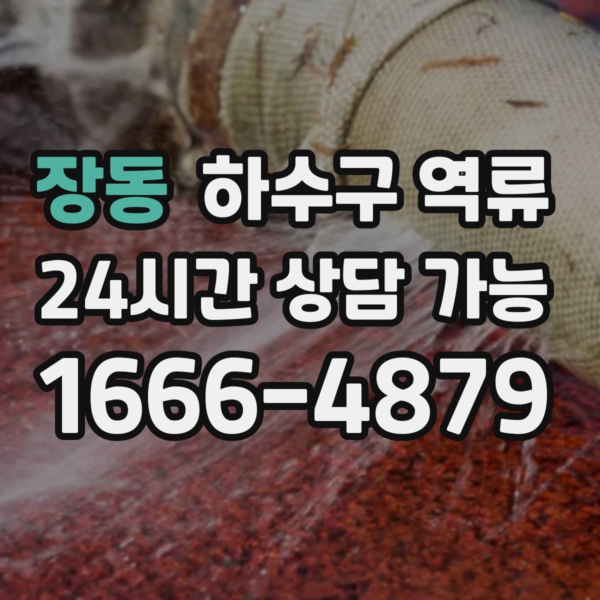 장동 하수구 역류