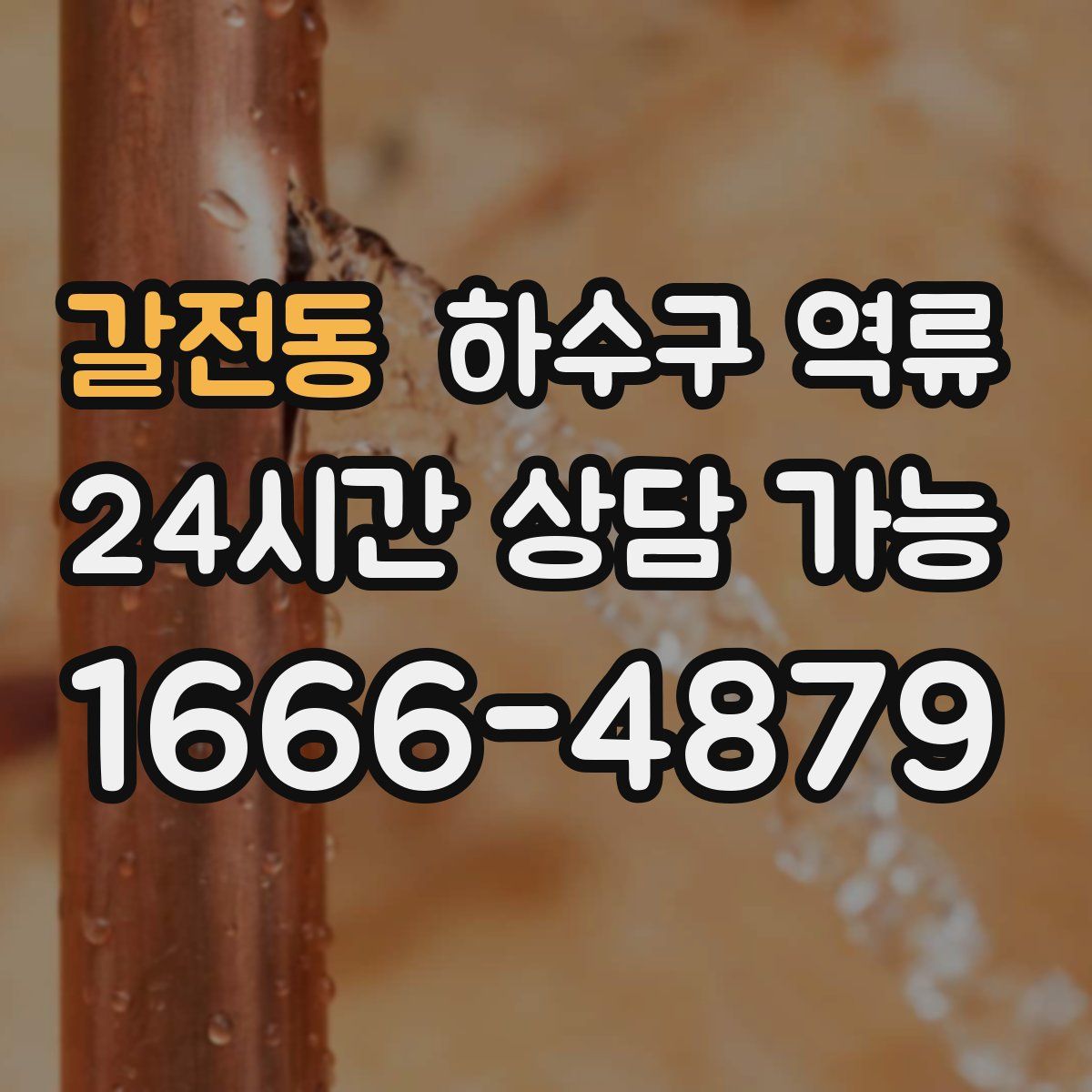 갈전동 하수구 역류