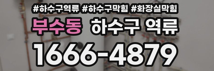 부수동 하수구 역류