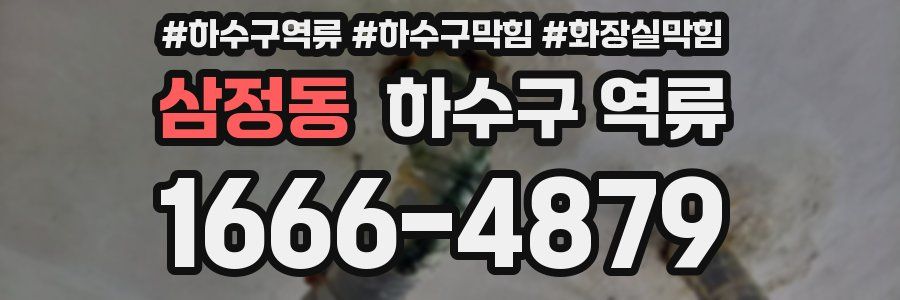 삼정동 하수구 역류