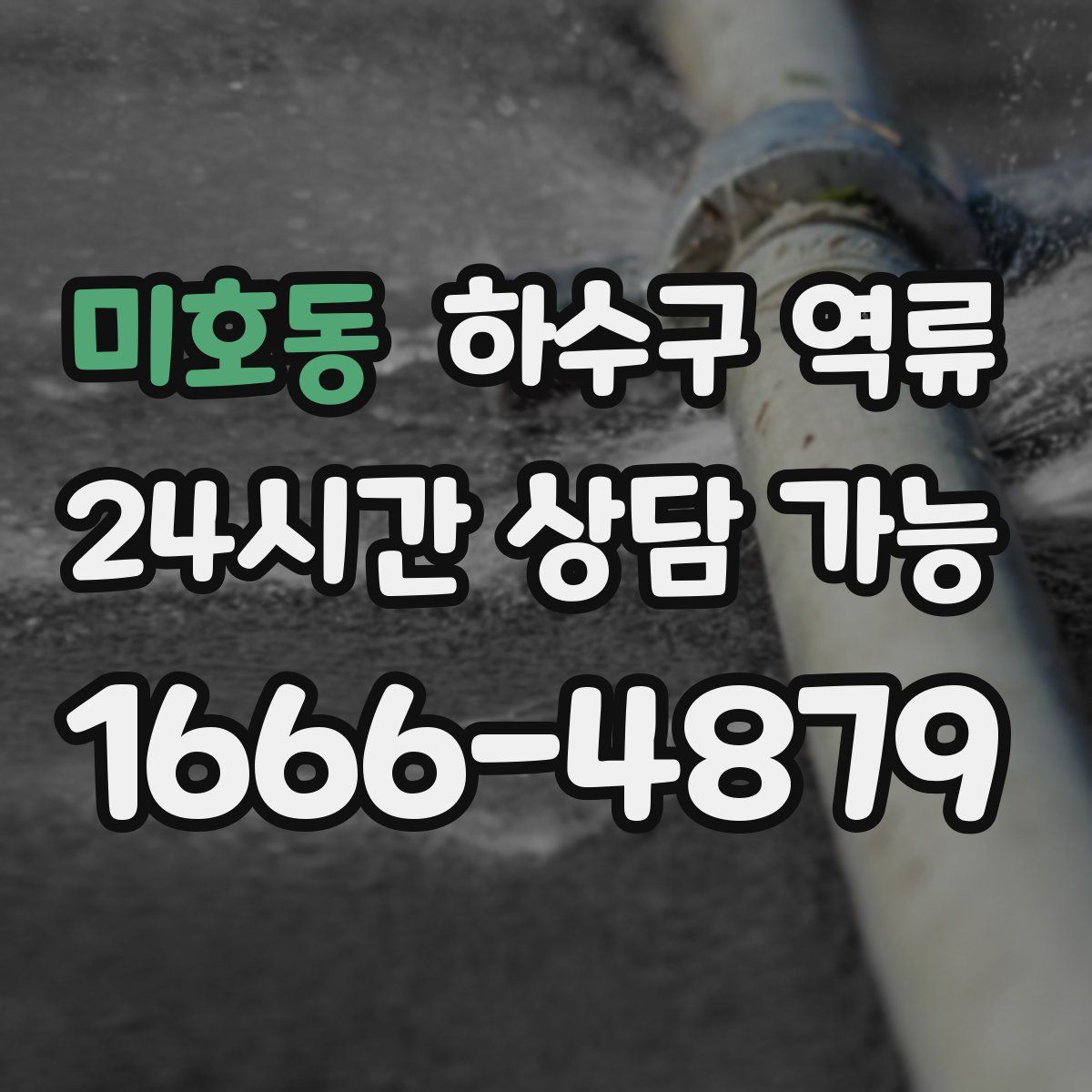 미호동 하수구 역류