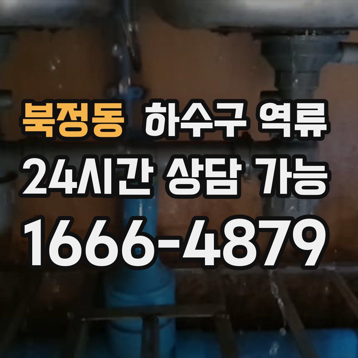 북정동 하수구 역류