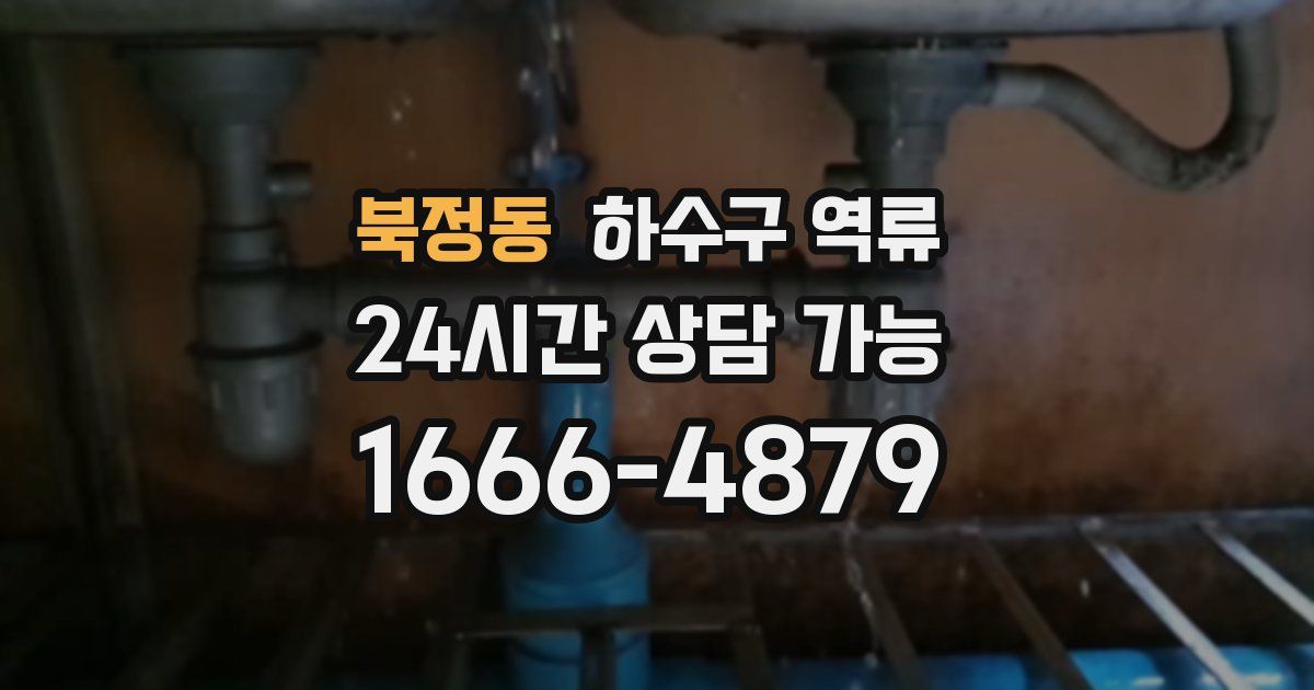 북정동 하수구 역류