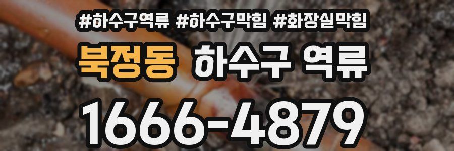 북정동 하수구 역류