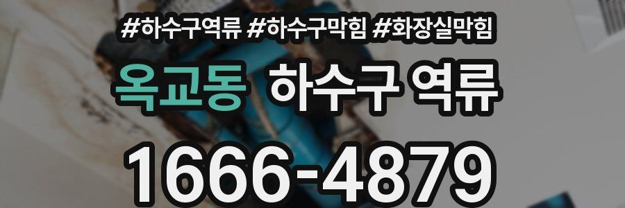 옥교동 하수구 역류