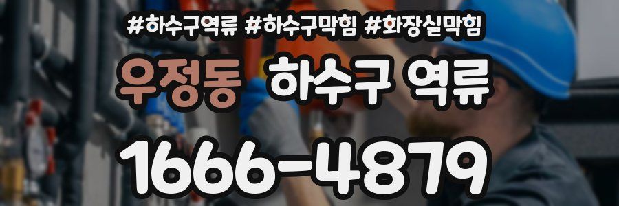 우정동 하수구 역류