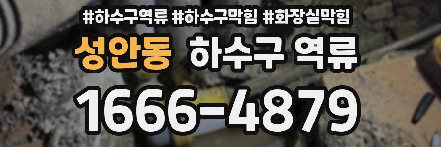 성안동 하수구 역류