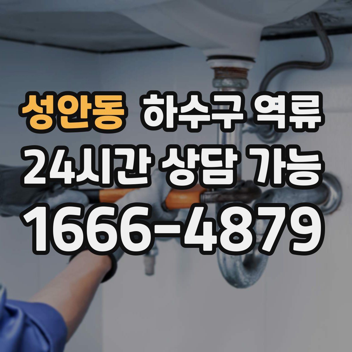 성안동 하수구 역류