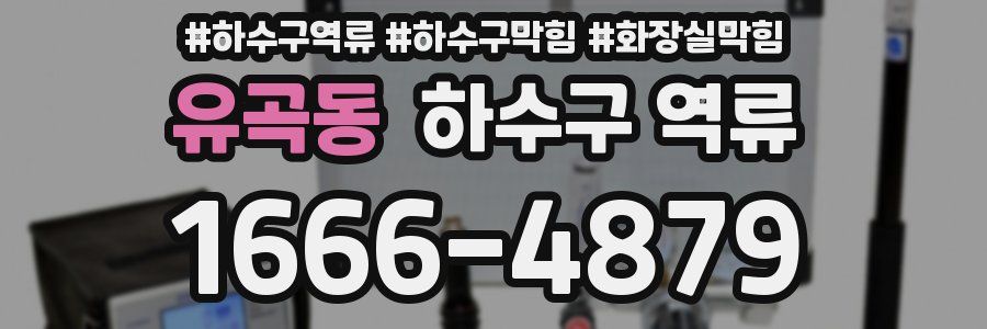 유곡동 하수구 역류