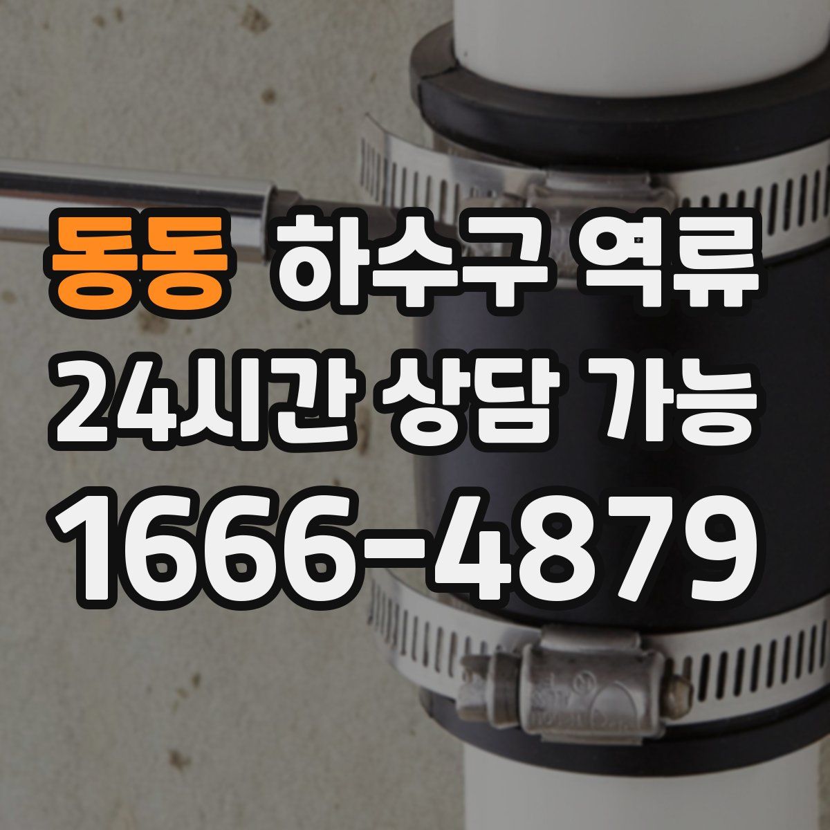 동동 하수구 역류