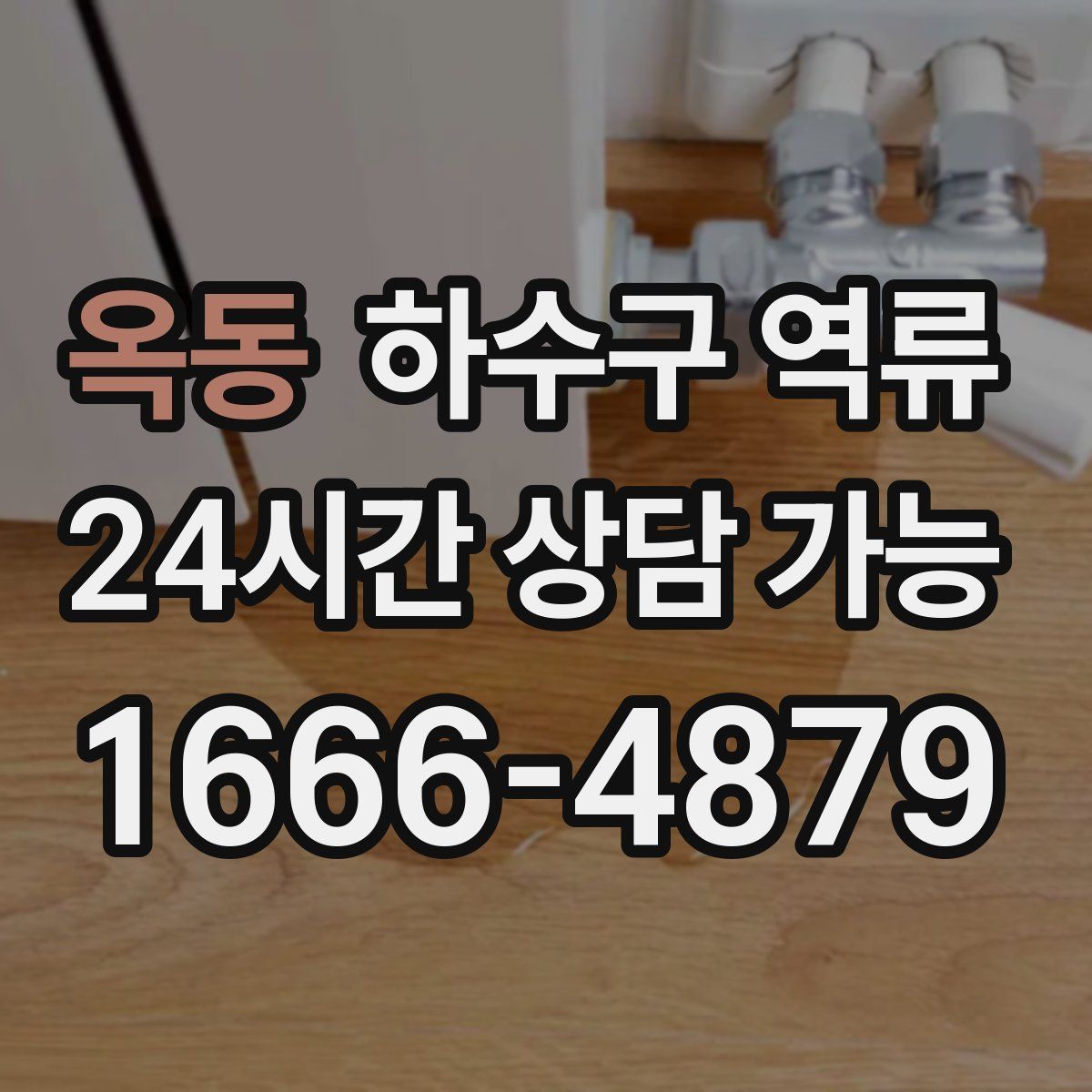 옥동 하수구 역류