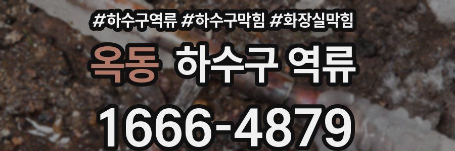 옥동 하수구 역류