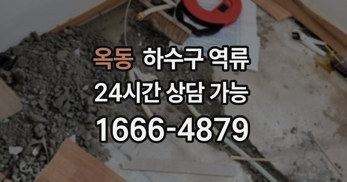 옥동 하수구 역류