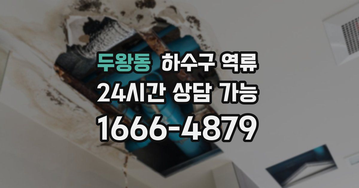 두왕동 하수구 역류