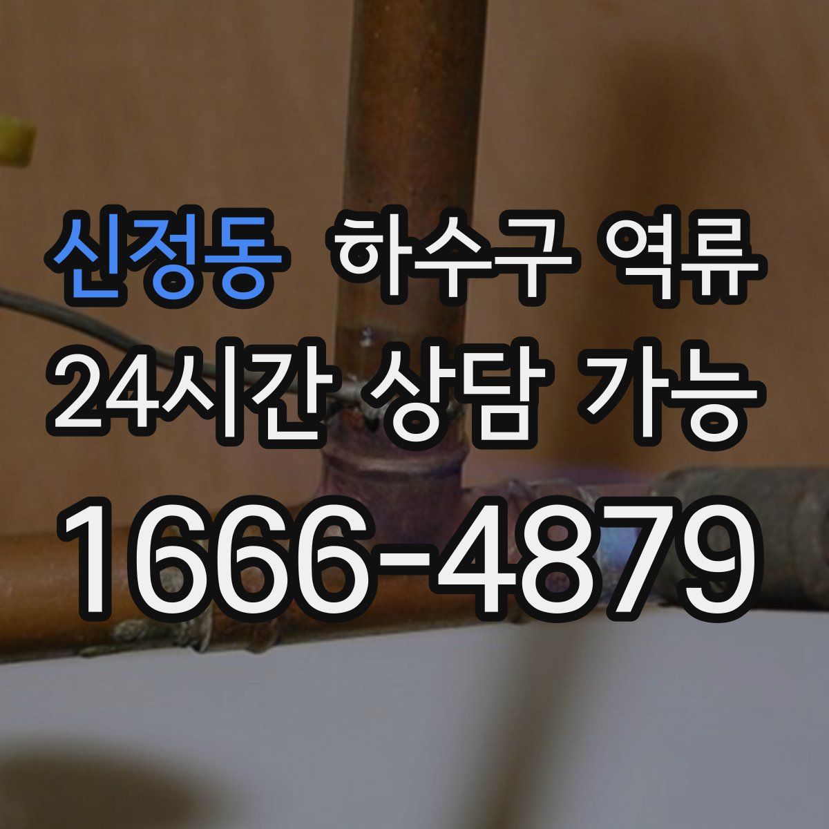 신정동 하수구 역류