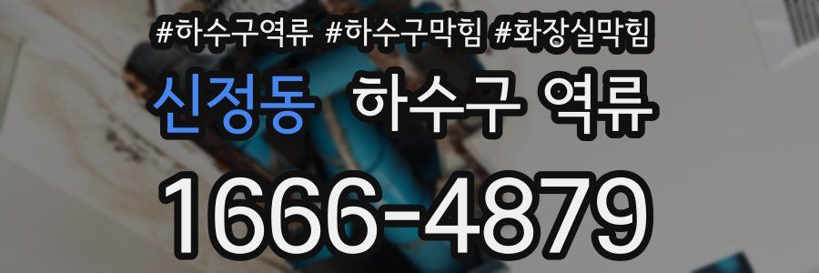 신정동 하수구 역류