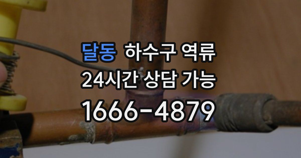 달동 하수구 역류