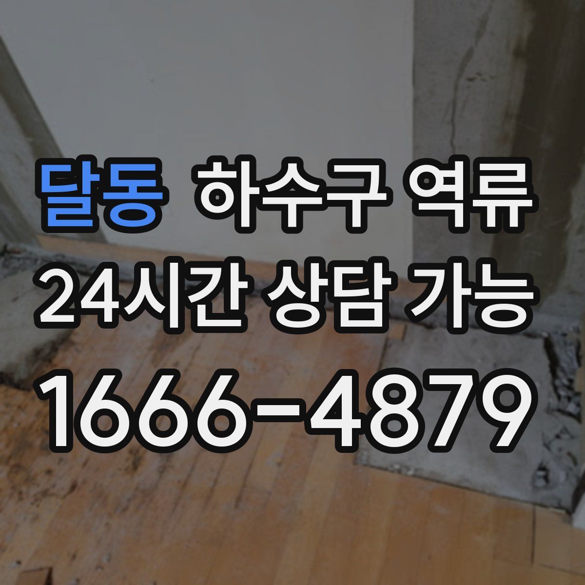 달동 하수구 역류