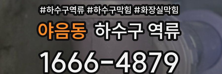 야음동 하수구 역류