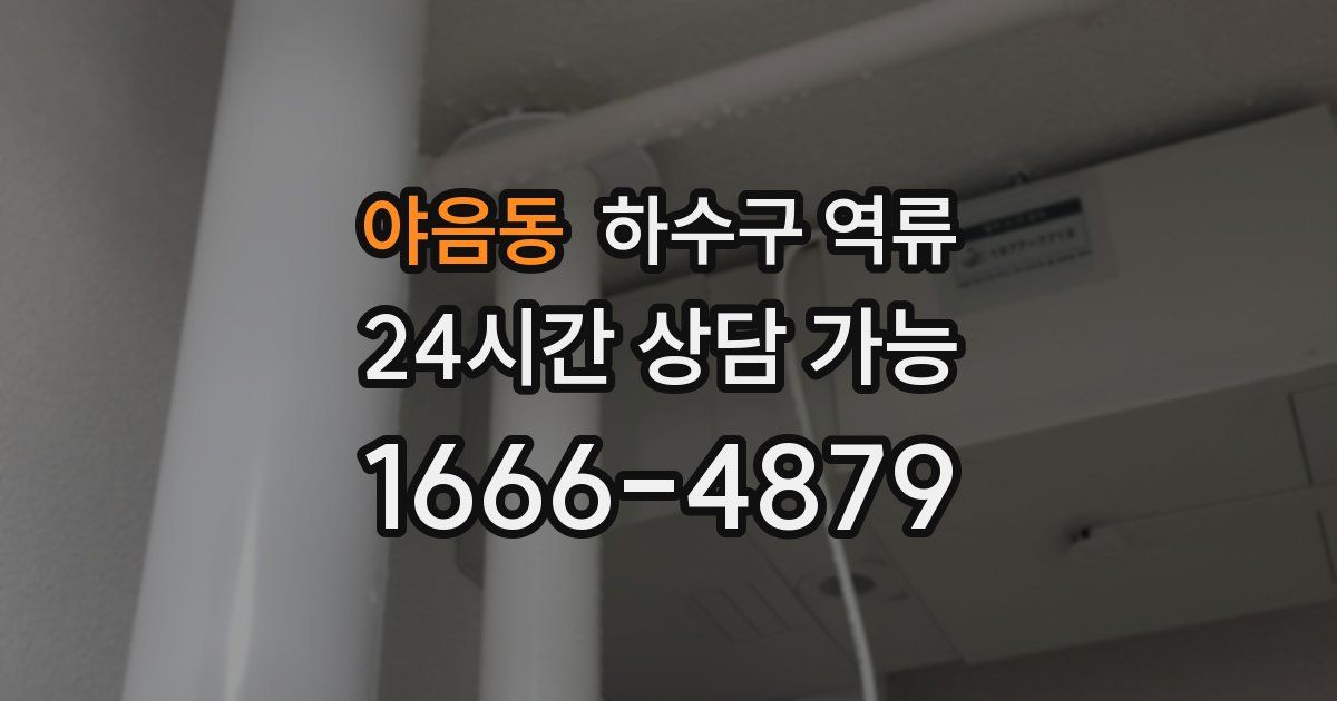 야음동 하수구 역류