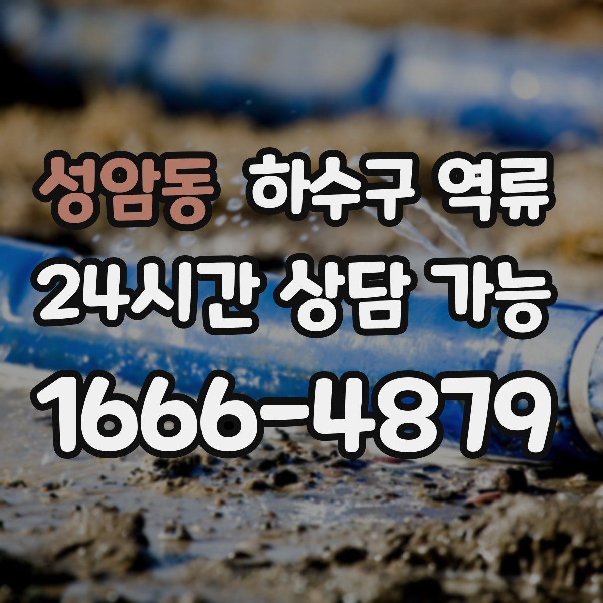 성암동 하수구 역류