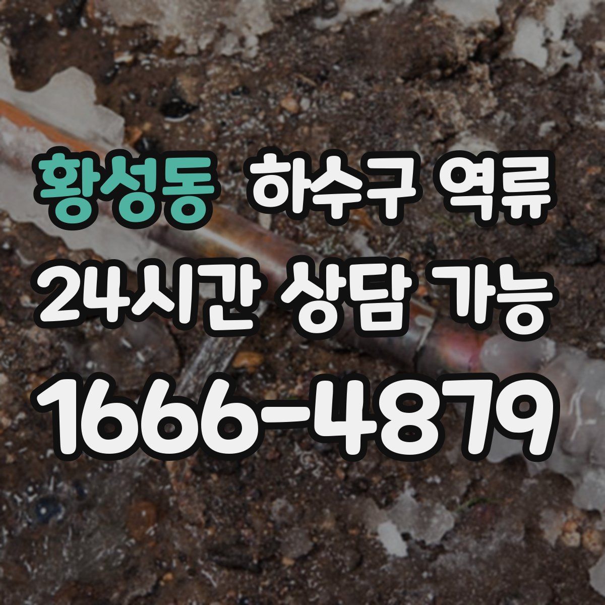 황성동 하수구 역류