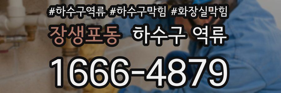 장생포동 하수구 역류