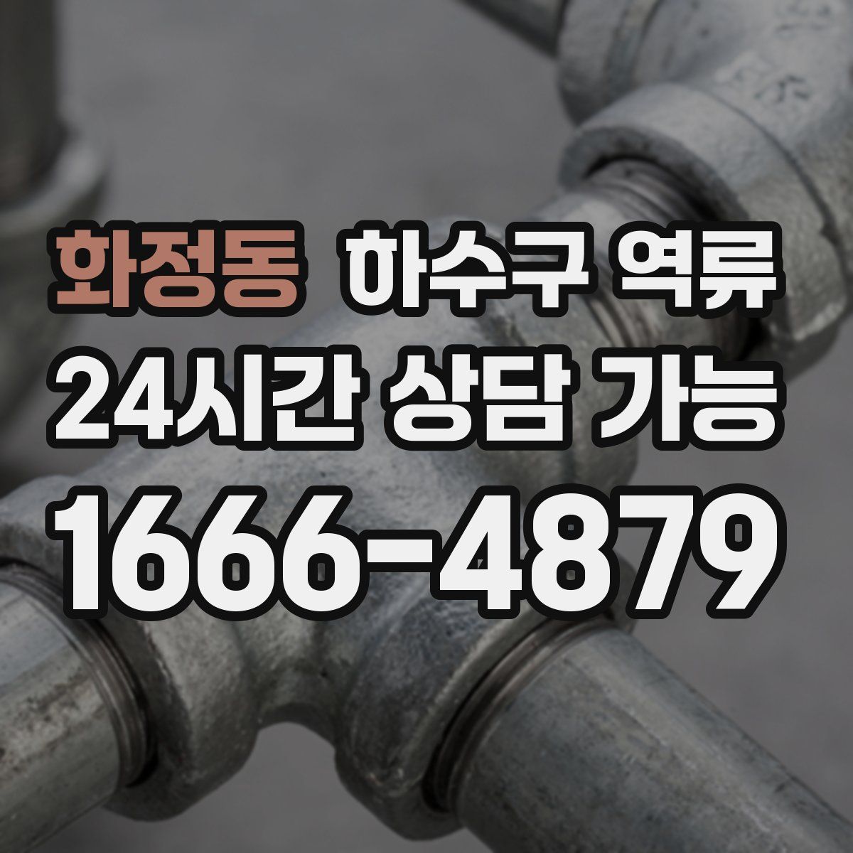 화정동 하수구 역류