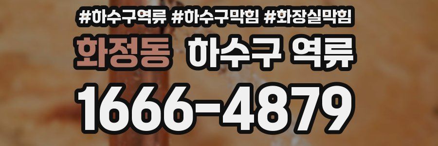 화정동 하수구 역류