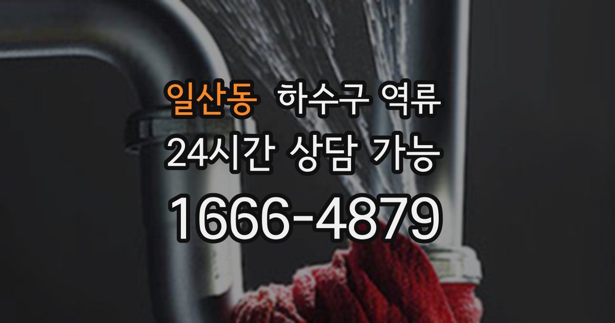 일산동 하수구 역류