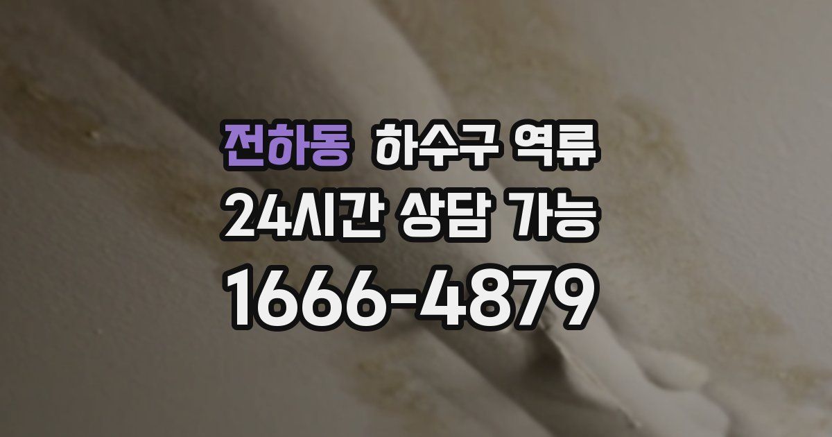 전하동 하수구 역류