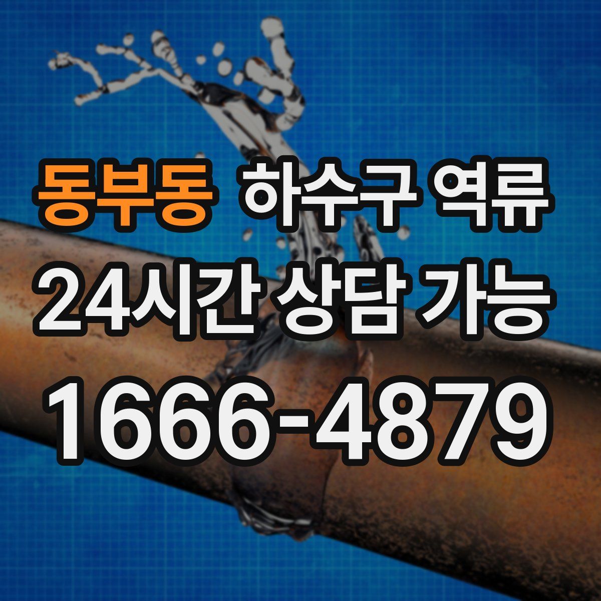 동부동 하수구 역류