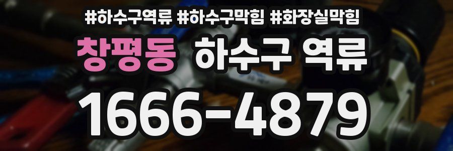 창평동 하수구 역류