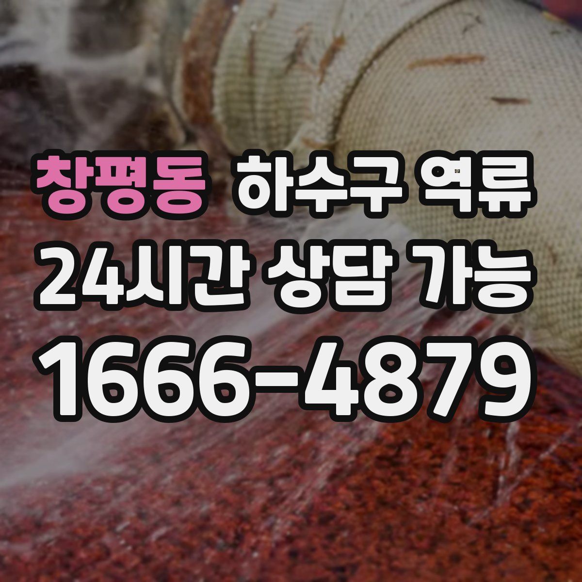 창평동 하수구 역류