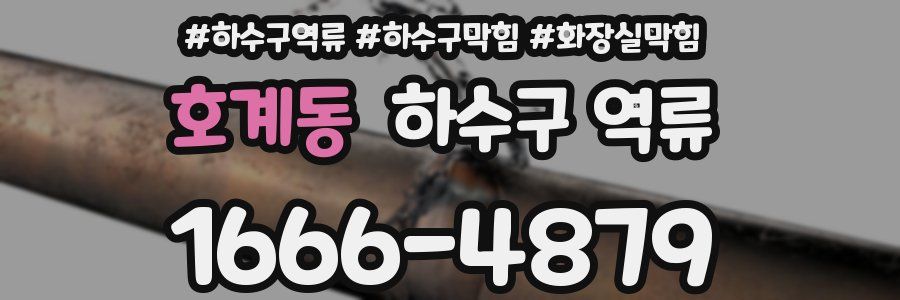 호계동 하수구 역류