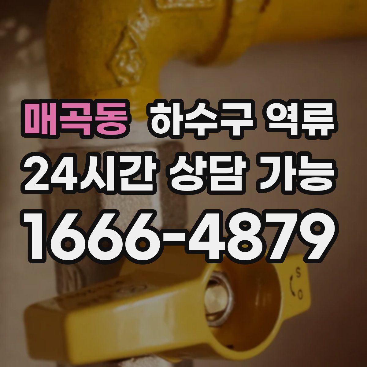 매곡동 하수구 역류