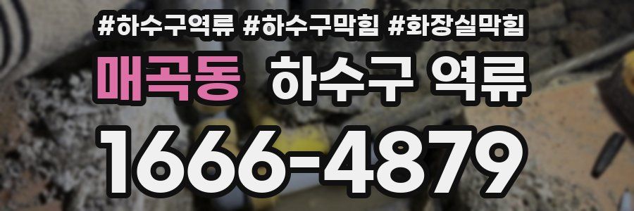 매곡동 하수구 역류