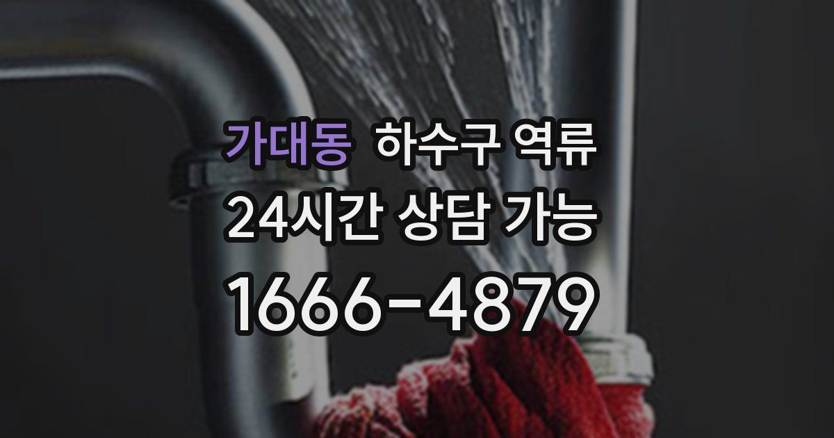 가대동 하수구 역류