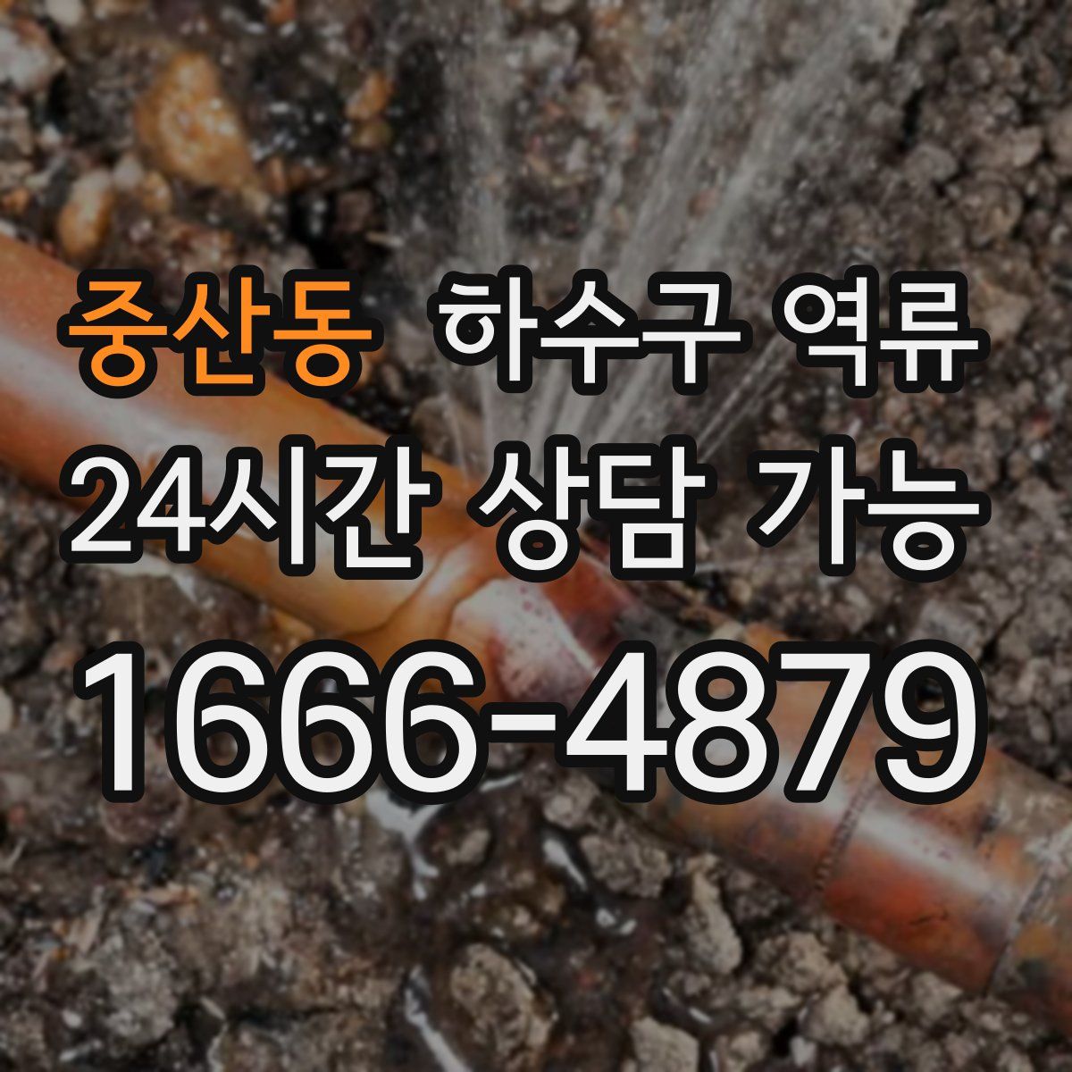 중산동 하수구 역류