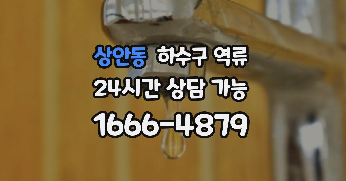 상안동 하수구 역류