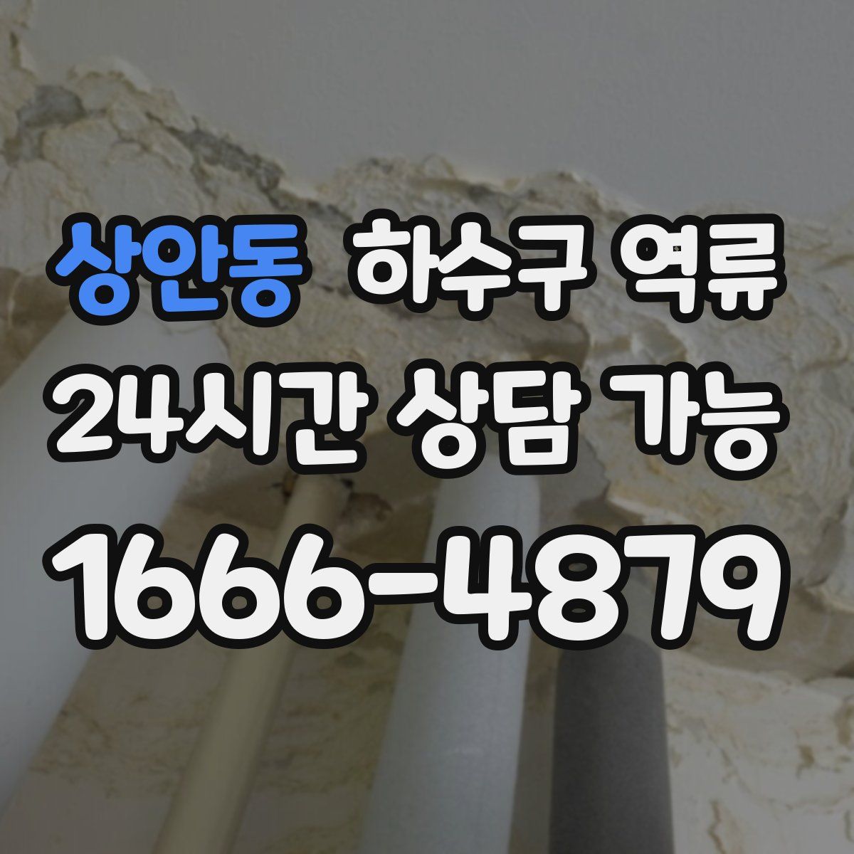 상안동 하수구 역류