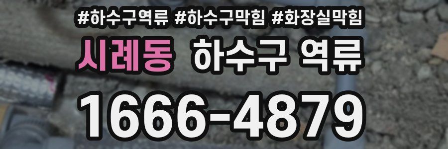 시례동 하수구 역류