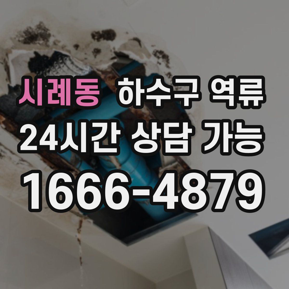 시례동 하수구 역류