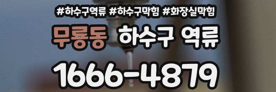 무룡동 하수구 역류