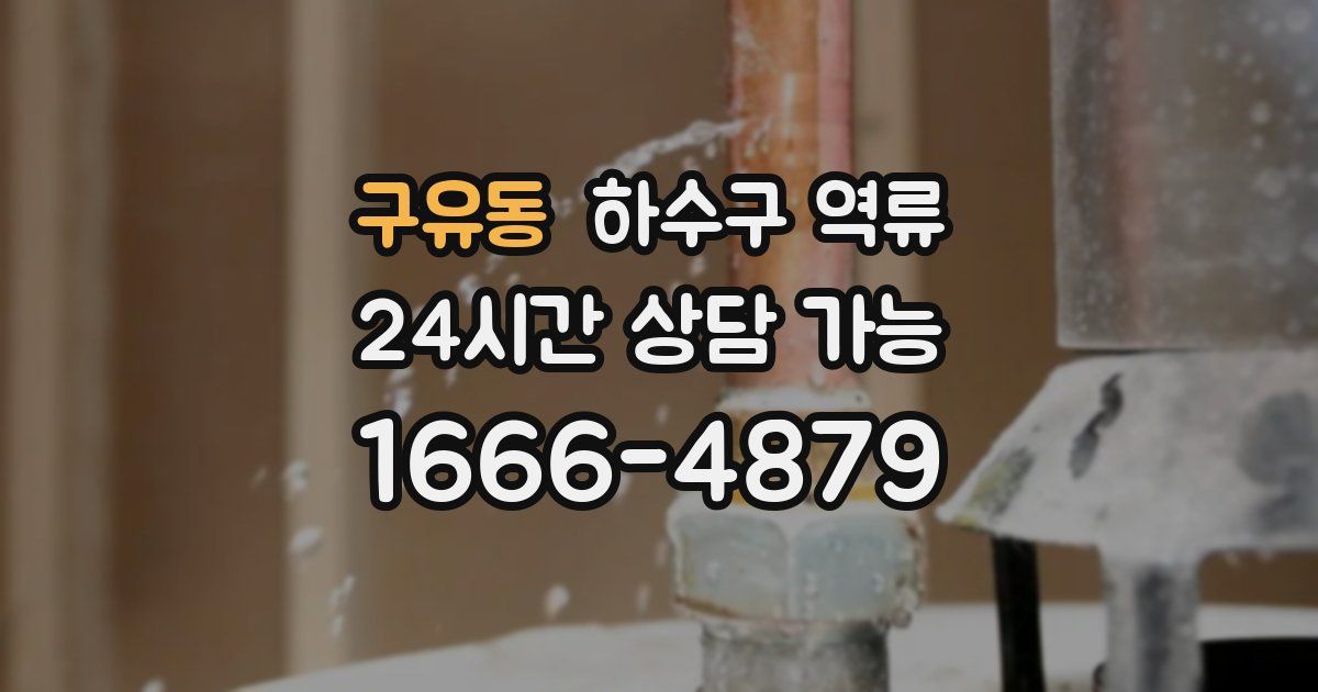 구유동 하수구 역류