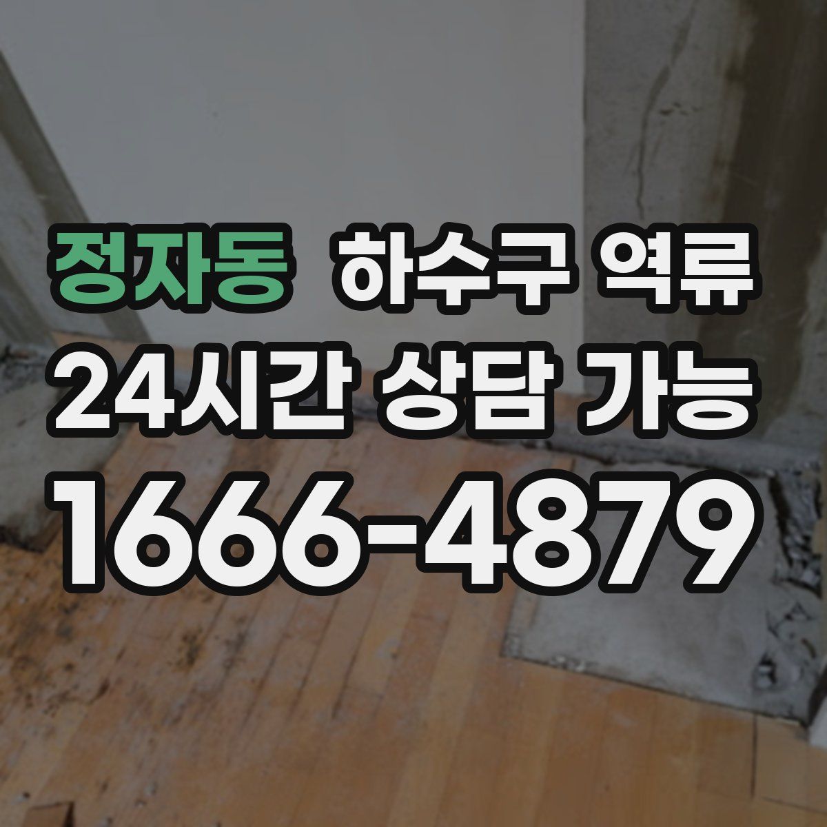 정자동 하수구 역류