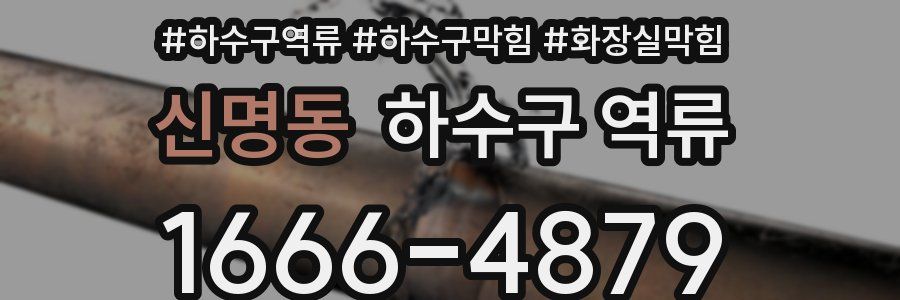 신명동 하수구 역류